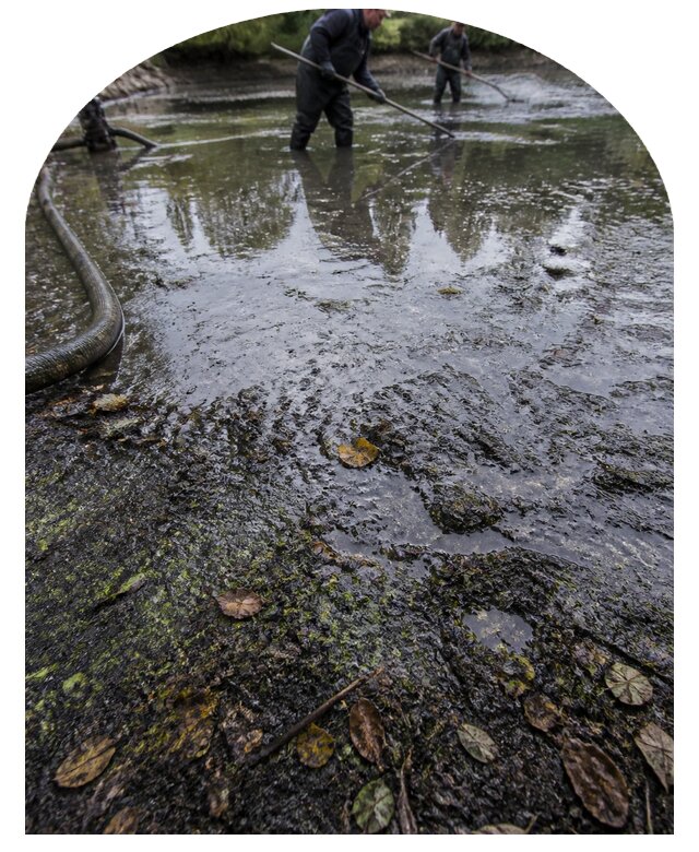 Очистка пруда в Юбилейном от ила мусора и водорослей с вывозом
